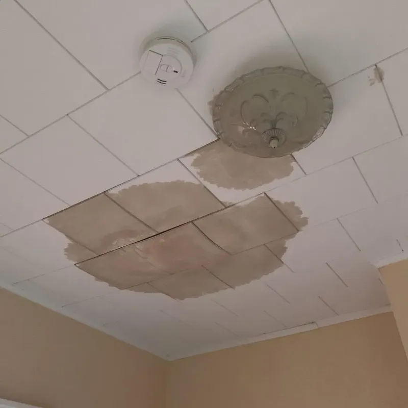 Ceiling Water Damage Repair in Yaphank, NY